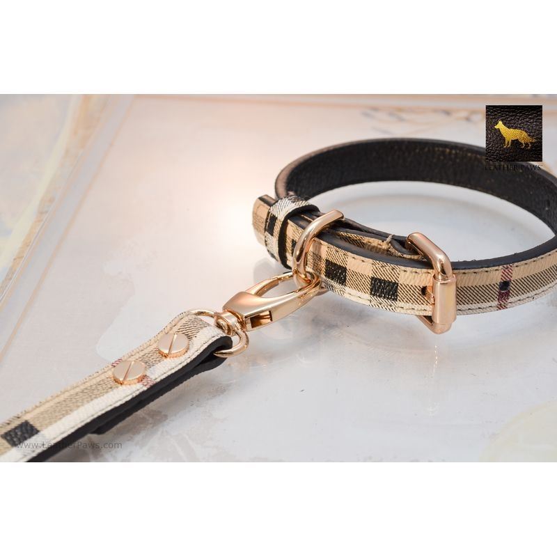 Fashion Designer dog collar handmade adjustable buckle 1 or 5/8